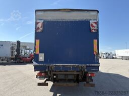 DAF LF 55 250 PLANE MIT LBW, EURO4
