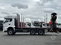 MAN TGS 33.520 6x4 BL 3900 Kurzholz Plattform Aufbau