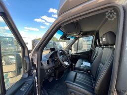 MERCEDES-BENZ STX Sprinter  3.500KG  Haras Hengste