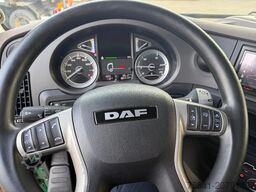 DAF XF 480 XF 480