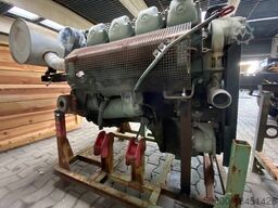 MERCEDES-BENZ OM 422 Motor, V8, 8 Zylinder, 10x am Lager
