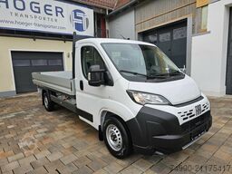 Fiat Ducato MAXI L4 Pritsche 4,2 Android Auto Nebels