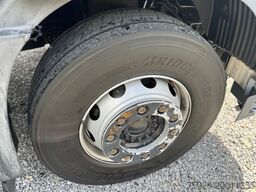 MAN TGM 18.290* Tiefkühlkoffer* *8,90m**