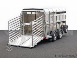 Ifor Williams TA510G | 12x6 | RAMPE-/TÜR-KOMBI 372X178X183CM VIEHANHÄNGER | 2X LÜFTUNG