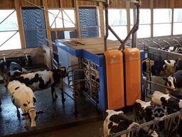 BOU MATIC MR DVOJNI GENOMI UP