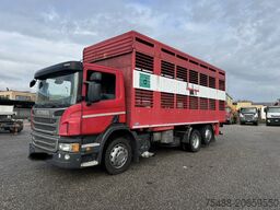SCANIA P 320 TRASPORTO ANIMALE 6X2
