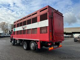 SCANIA P 320 TRASPORTO ANIMALE 6X2