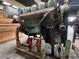 MERCEDES-BENZ OM 422 Motor, V8, 8 Zylinder, 10x am Lager