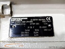 Brinkmann STA901/300-2M+055 Eintauchpumpe