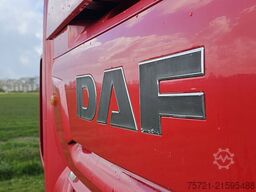 DAF XF 480