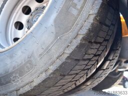 MAN TGX 18.500 2 Tanks 1160L Retarder ACC Standklima