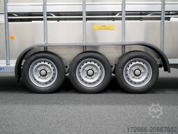 Ifor Williams TA510|14x6|DOPPELSTOCK 434X178X183CM