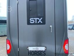 MERCEDES-BENZ STX Sprinter  GG 4,100KG  Haras Hengste