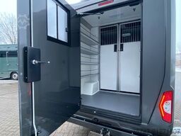 MERCEDES-BENZ STX Sprinter  GG 4,100KG  Haras Hengste