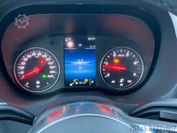 MERCEDES-BENZ STX Sprinter  GG 4,100KG  Haras Hengste