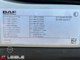 DAF 7,5t LF 210 FA *BÄR-LBW* Reifen 80% *Klima*
