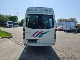 MERCEDES-BENZ Transfer 45, Sprinter 516 CDI, hydr. Tür, 16+1