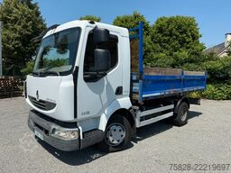 RENAULT Midlum 220 dxi /  BLATT gefedert