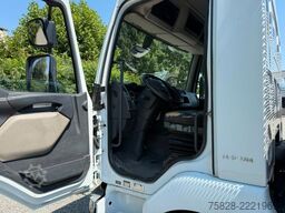 RENAULT Midlum 220 dxi /  BLATT gefedert