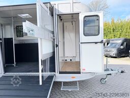  2 Pferdeanh.ANKA Hengstemodell,Sattelk. mit Bett