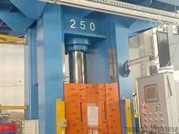LCM 250T