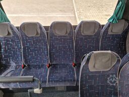 TEMSA Temsa  Prestij SX,Novo Lux, Daily, Atego