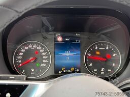 MERCEDES-BENZ STX Sprinter  GG 4,100KG  Haras Hengste