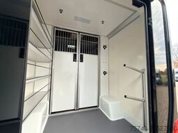 MERCEDES-BENZ STX Sprinter GG 4,100KG Haras Hengste