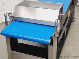 Fritsch FT 250