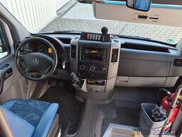 MERCEDES-BENZ Sprinter 516, Daily, Crafter