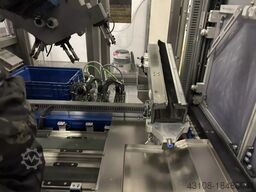 Kabina do satynowania z robotem YASKAWA SAPI Büffel 100