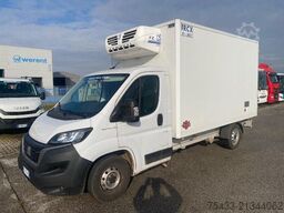 Fiat DUCATO Isotermico con gruppo frigorifero