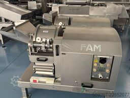FAM ILC-3D