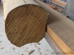 Stetson Ross 6-12c-1