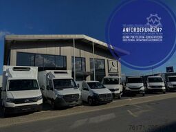 IVECO Daily 50C18HA8 3450mm AUT CHASSIS STDH AHK LED