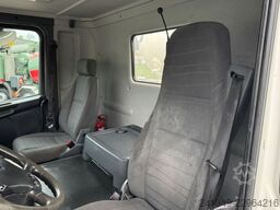 SCANIA G490 10x4 Liebherr 12m3