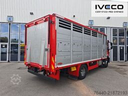 IVECO ML150E32/FPEVI_D
