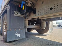 Schmitz Cargobull TAUTLINER