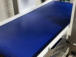 SESOTEC Metalldetektor