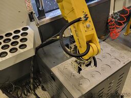 Fanuc LR Mate 200 ID