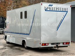 MERCEDES-BENZ 817 4x2 4Pferdetransporter