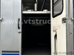 MERCEDES-BENZ 817 4x2 4Pferdetransporter