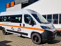 Opel Movano + Fiat Ducato 9 Sitzer Flexiboden