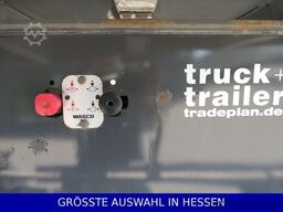 CARNEHL Alukasten Mulde 38m³ Leer 5,5to. ¤e