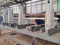 Primultini 1300