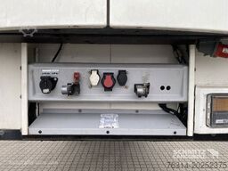 Schmitz Cargobull Tiefkühler Fleischhang