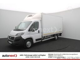 FIAT Ducato Maxi ThermoKing V300MAX -20° Tief LBW
