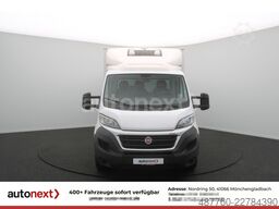 FIAT Ducato Maxi ThermoKing V300MAX -20° Tief LBW