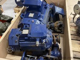 BORNEMANN 