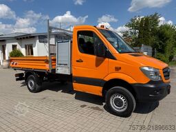 MERCEDES-BENZ Sprinter 316 CDI /4x4 Allrad/Kipper/AHK